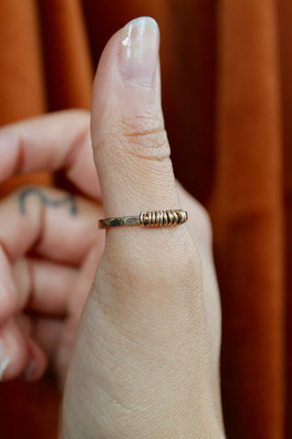 Abacus Fidget Ring