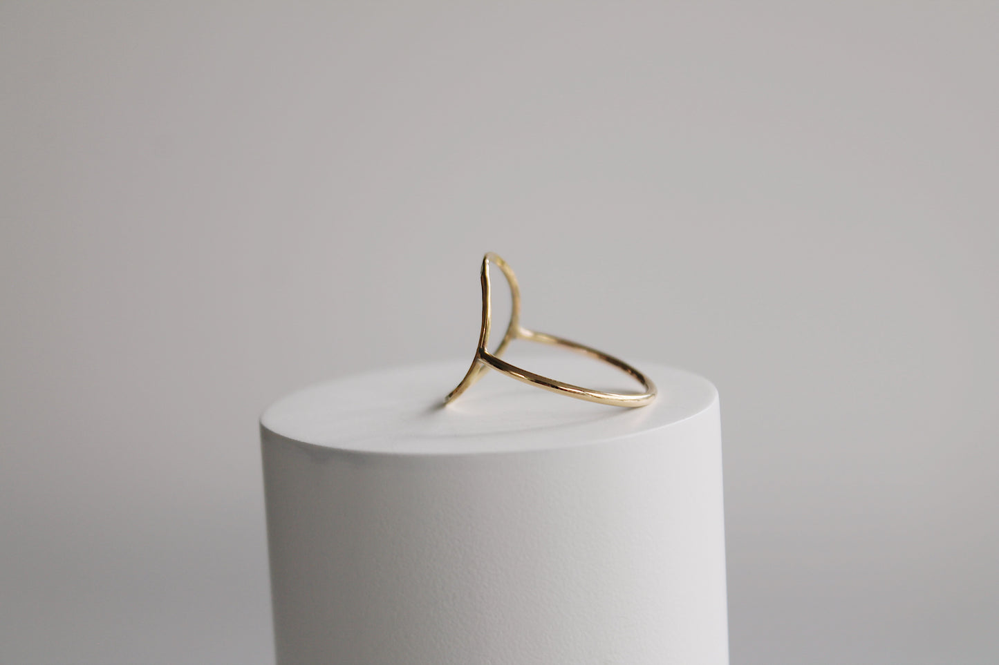 Maeve Hammered Circle Ring