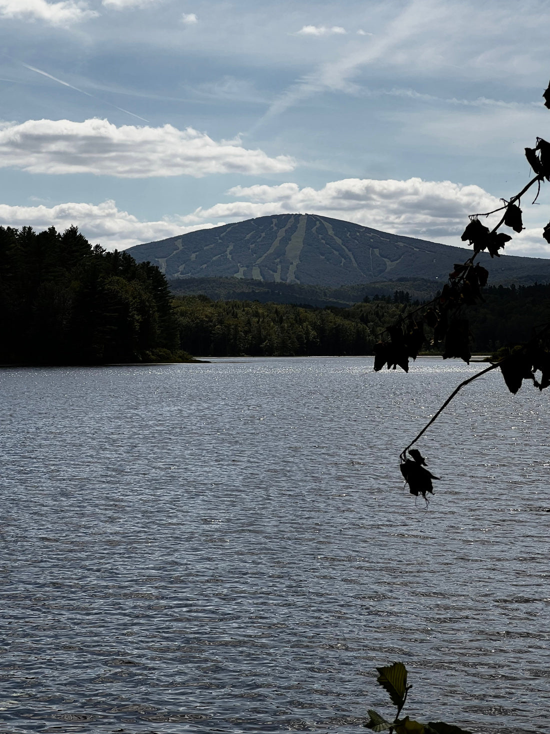 Their fears and limitations are not yours: Shatter their expectations.