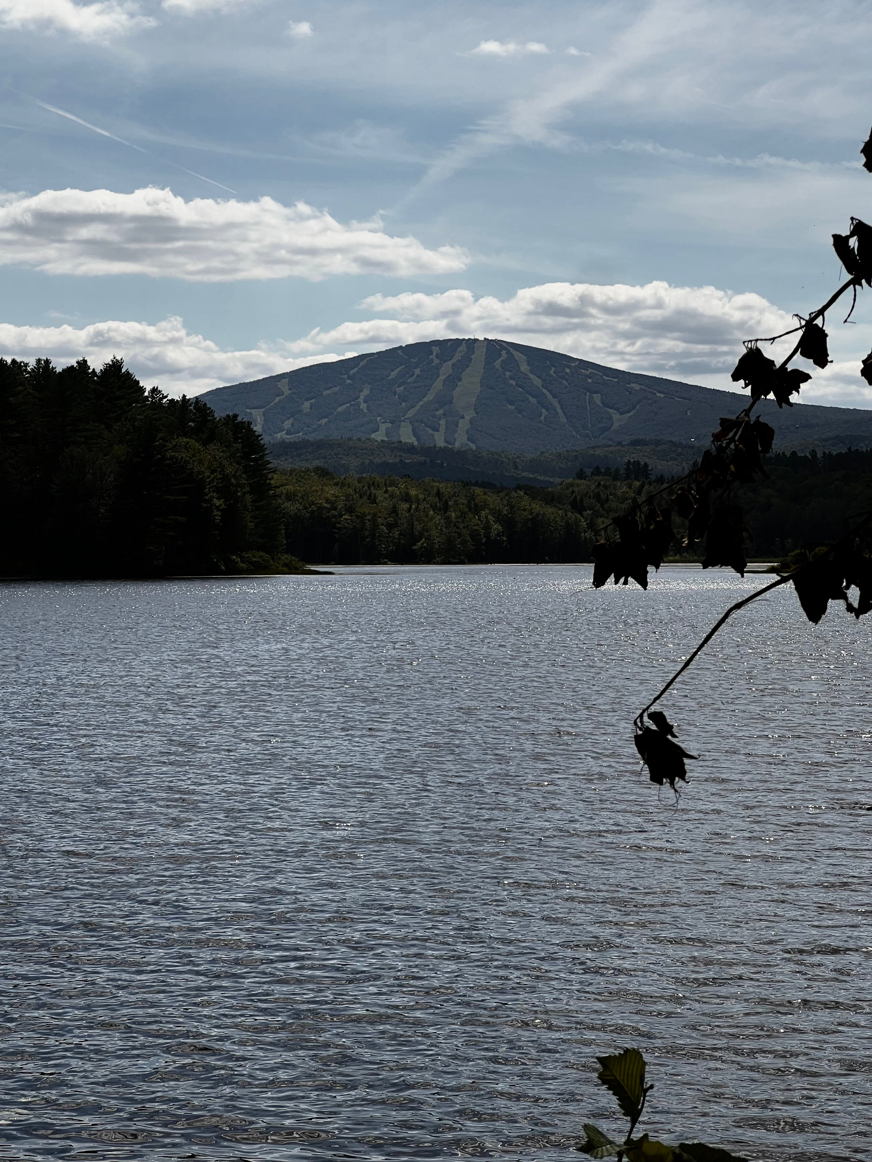 Their fears and limitations are not yours: Shatter their expectations.