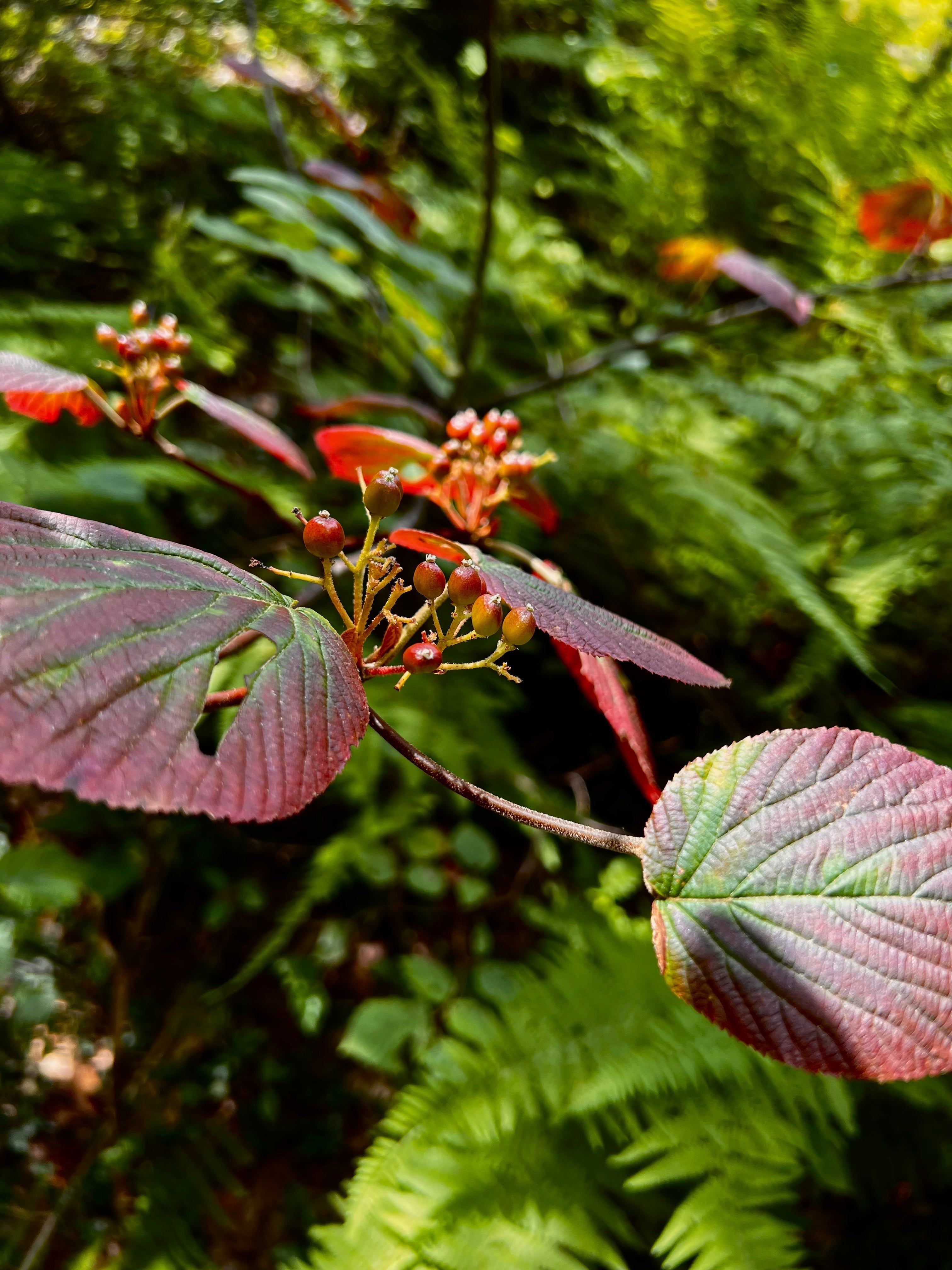 How to take hold of overthinking: focus on the task itself.