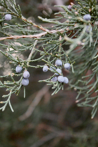 How can jewelry be healing?