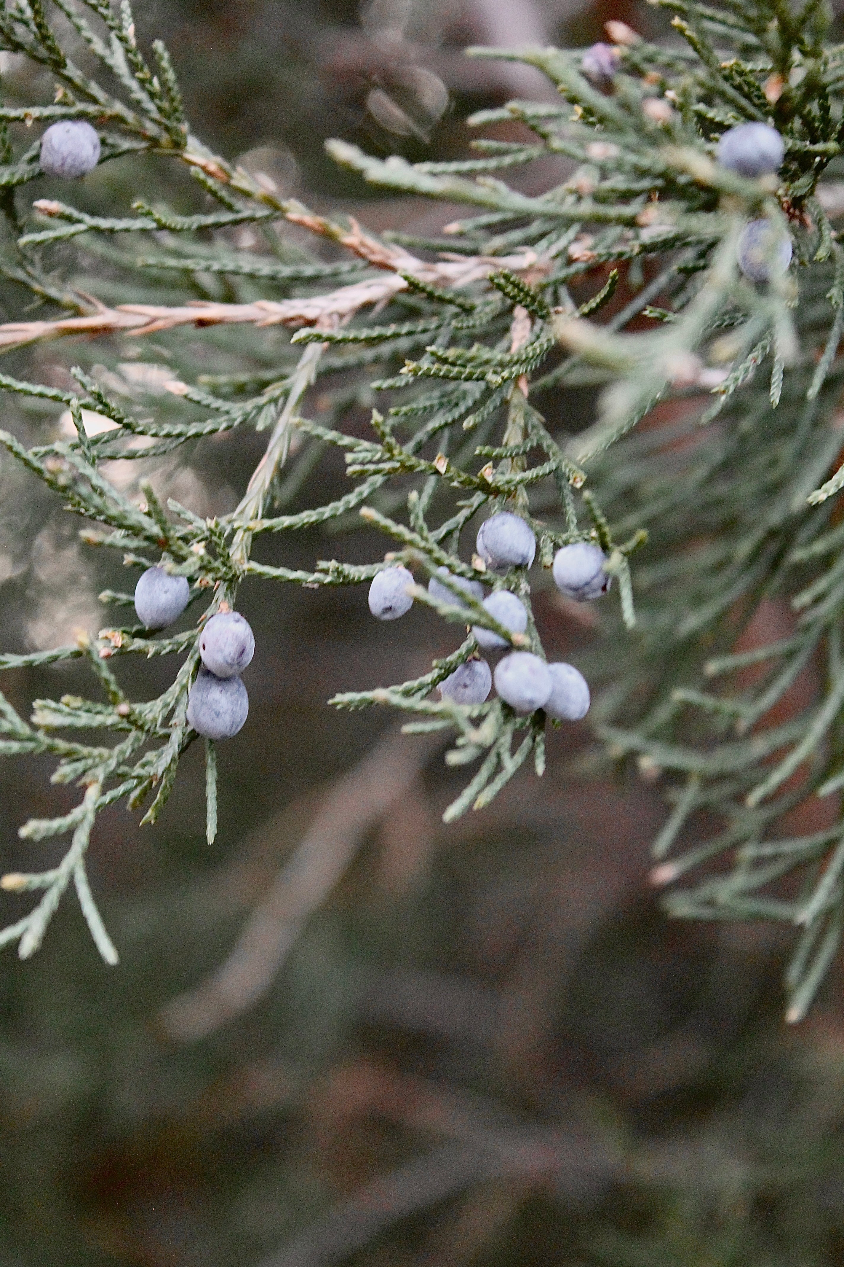 How can jewelry be healing?