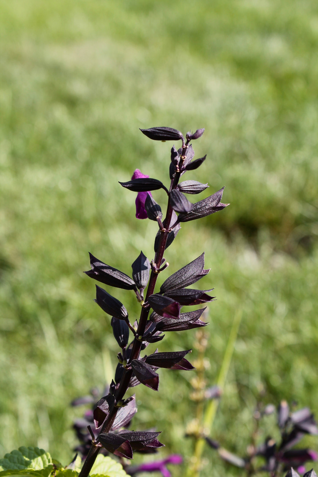 You are exactly what they're looking for.