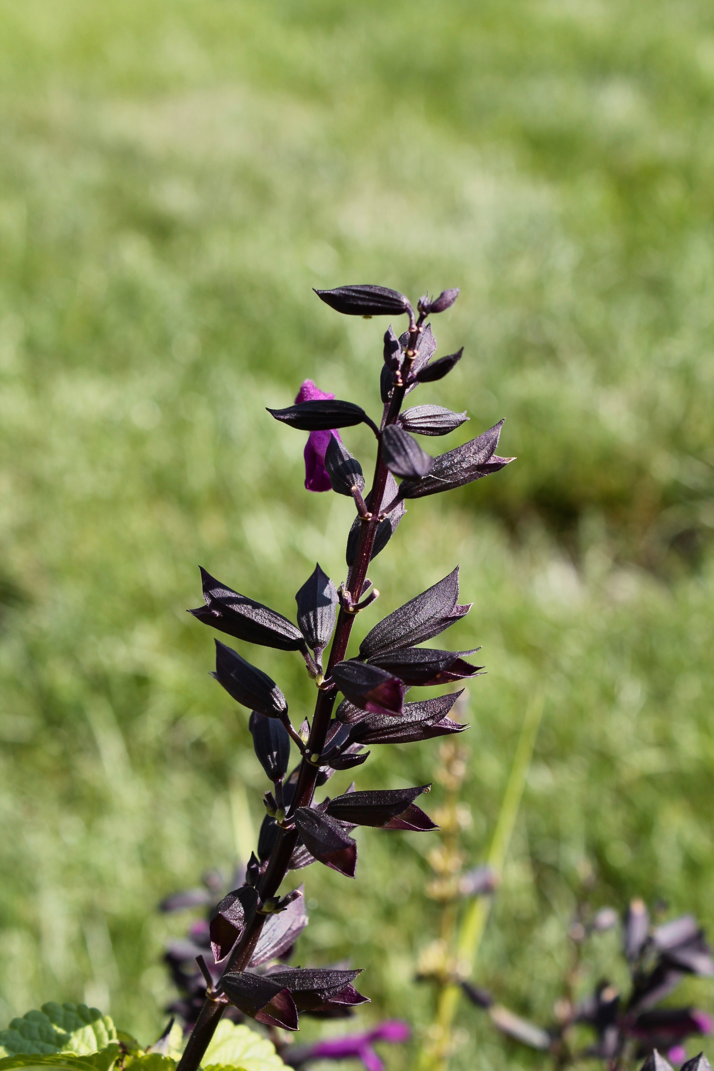 You are exactly what they're looking for.