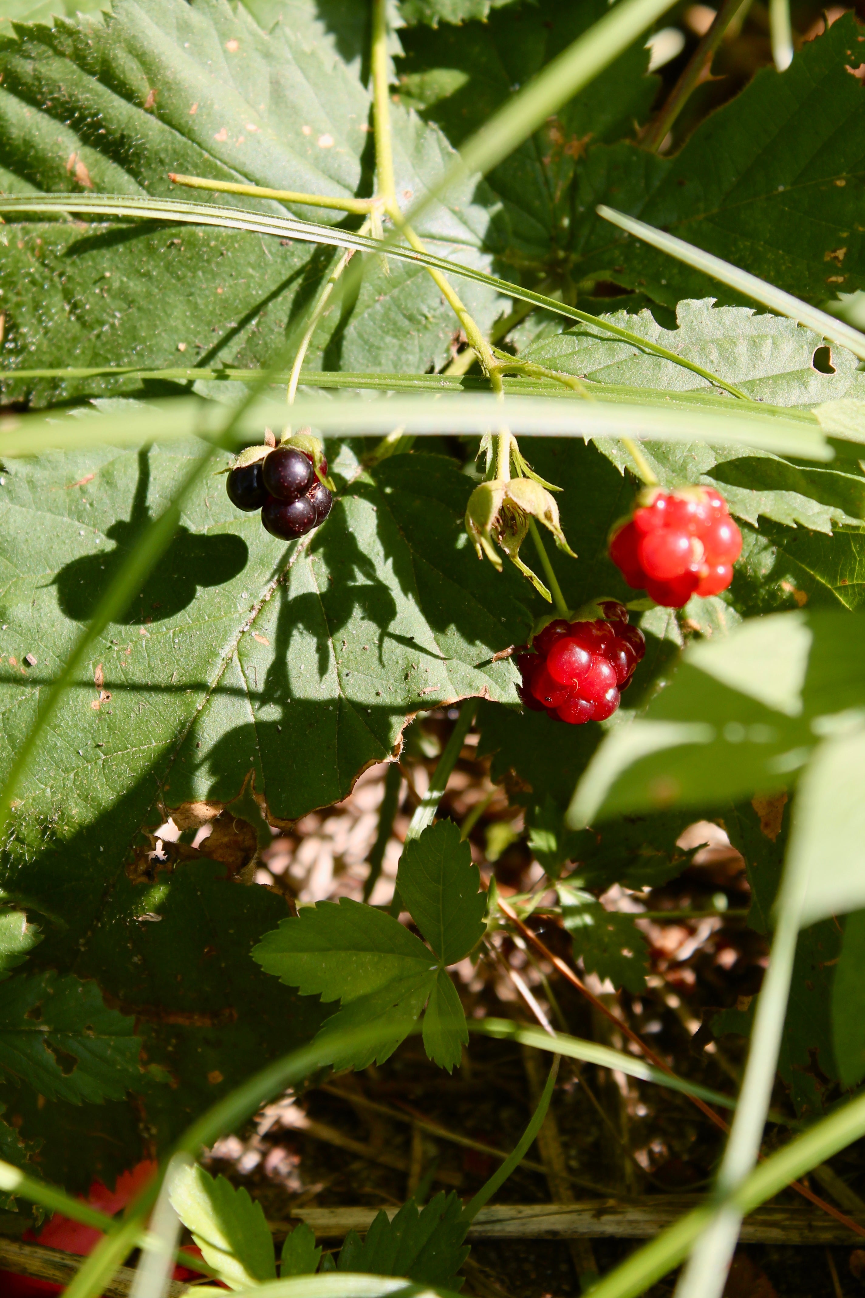 This new chapter requires a new you: How to prepare for what life has in store.