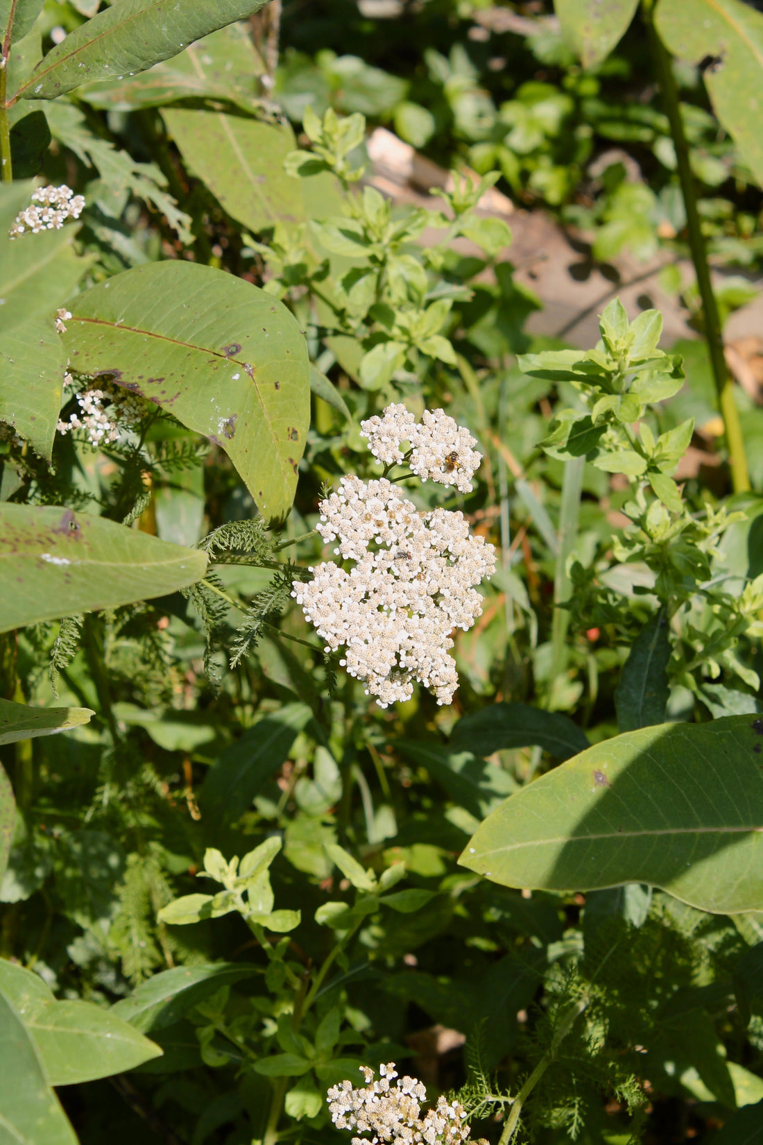 That idea needs you: Go ahead and make it happen.