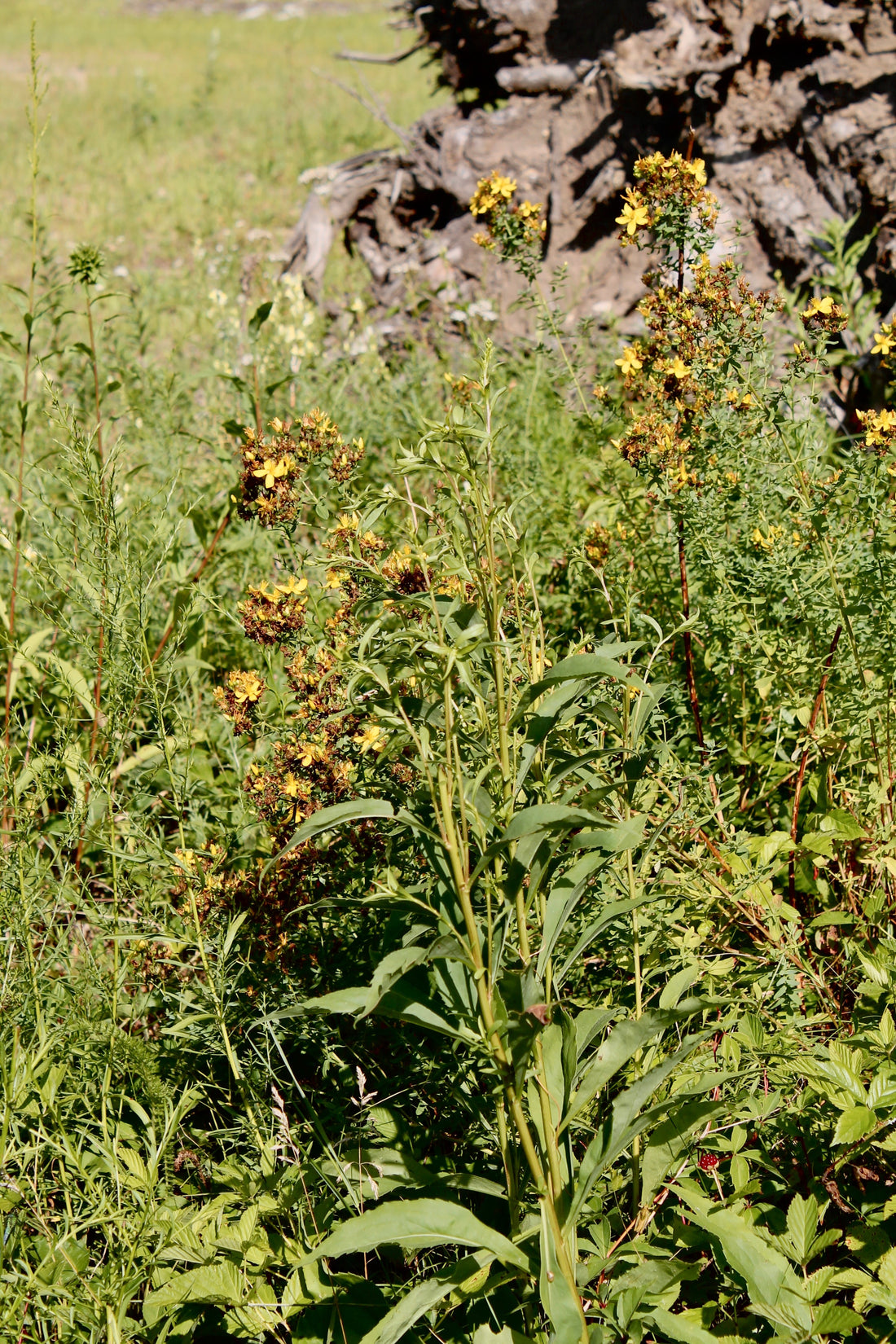 There are people WAITING to admire you.