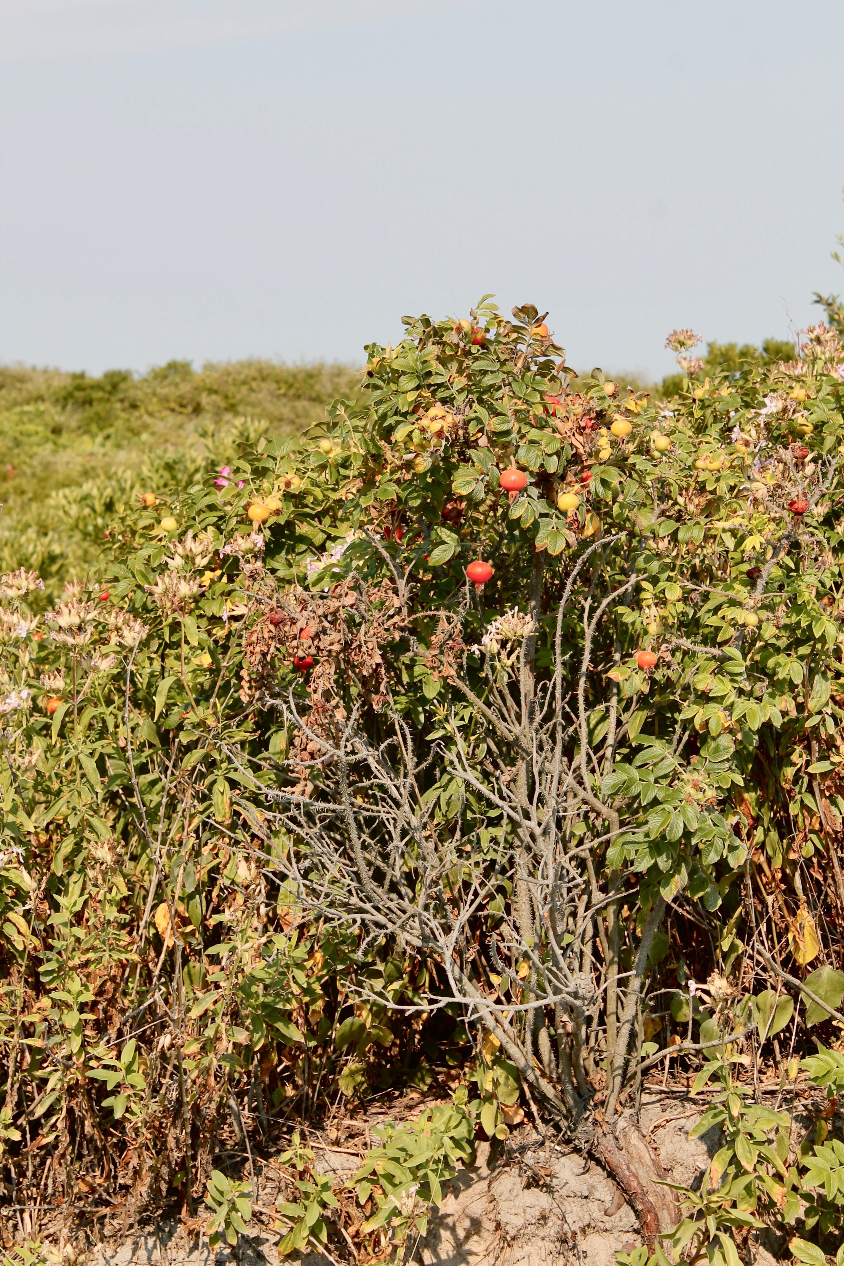 If you're reading this, it's not too late.