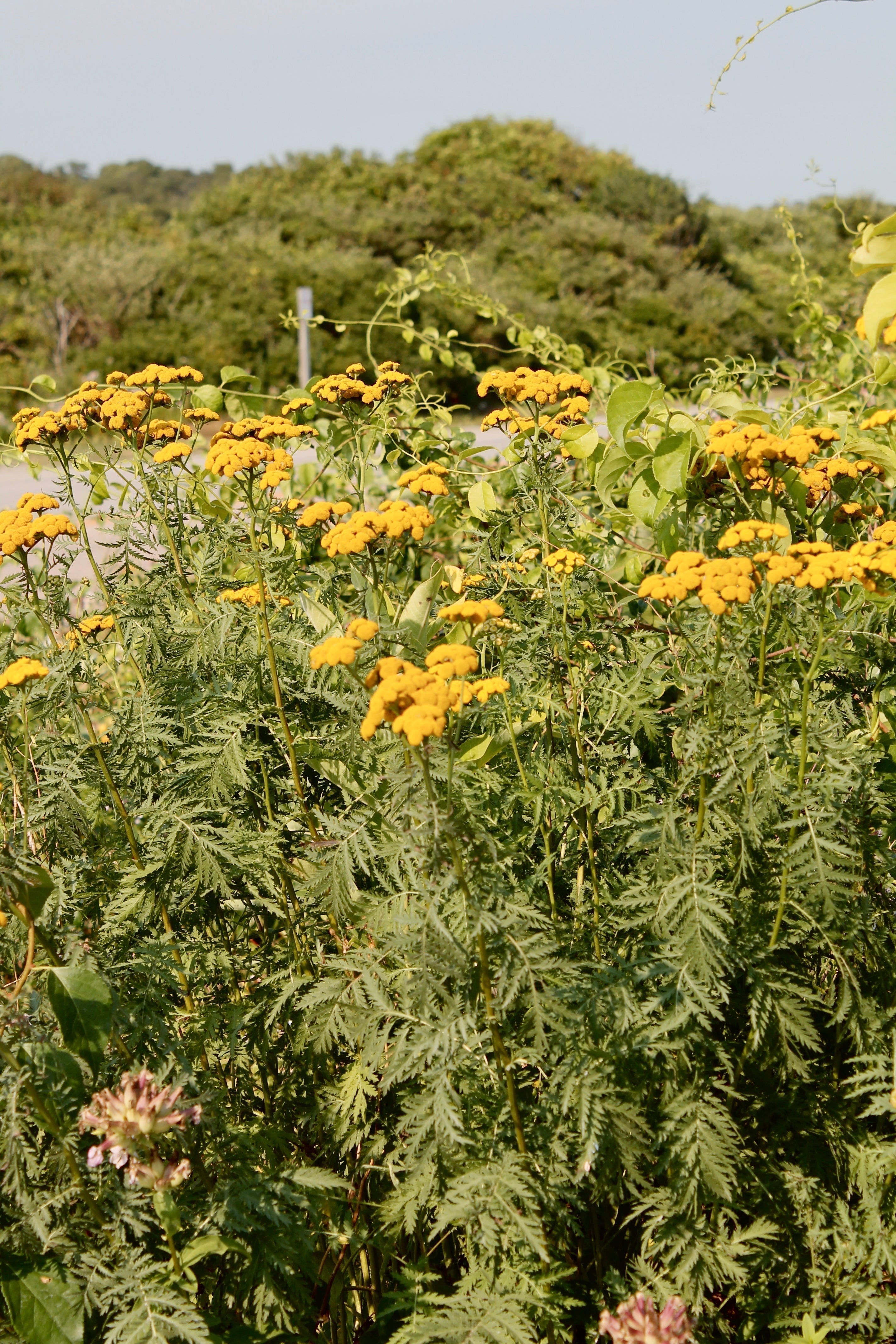 You've outgrown their old version of you.