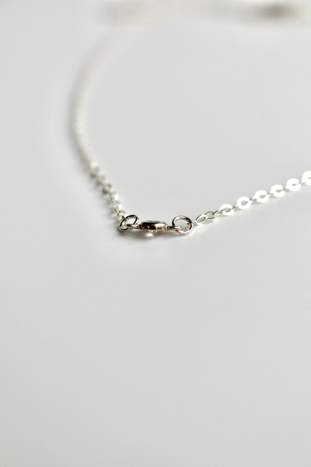Delicate Choker Charm Necklace