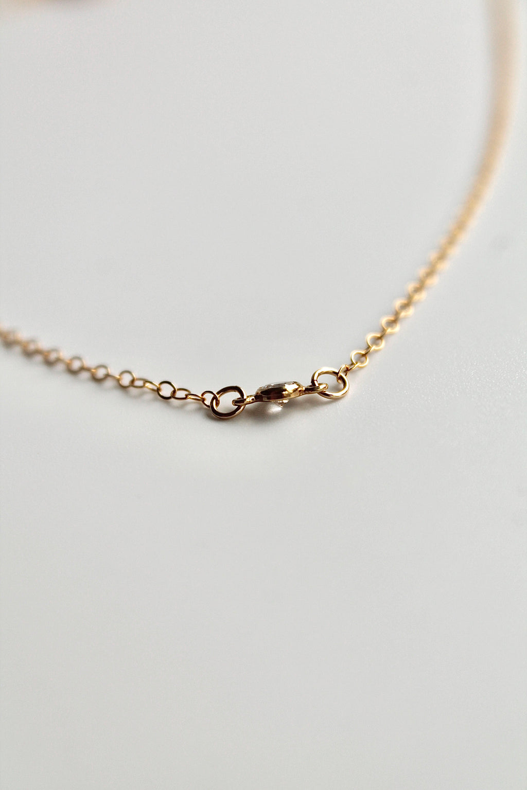 Delicate Choker Charm Necklace