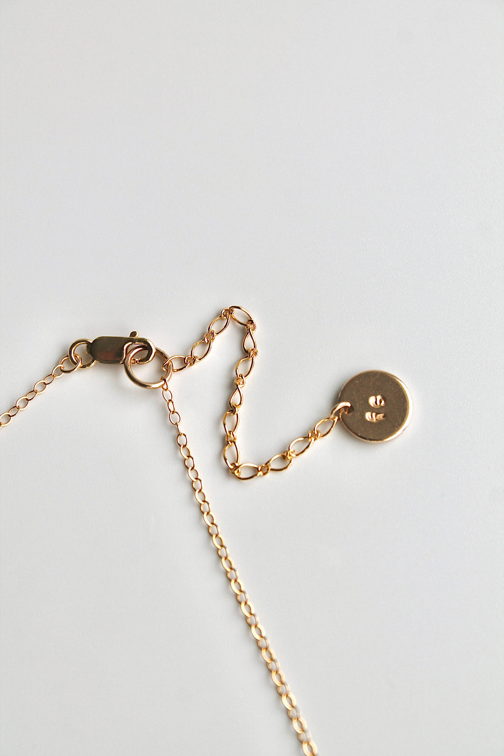 Delicate Choker Charm Necklace