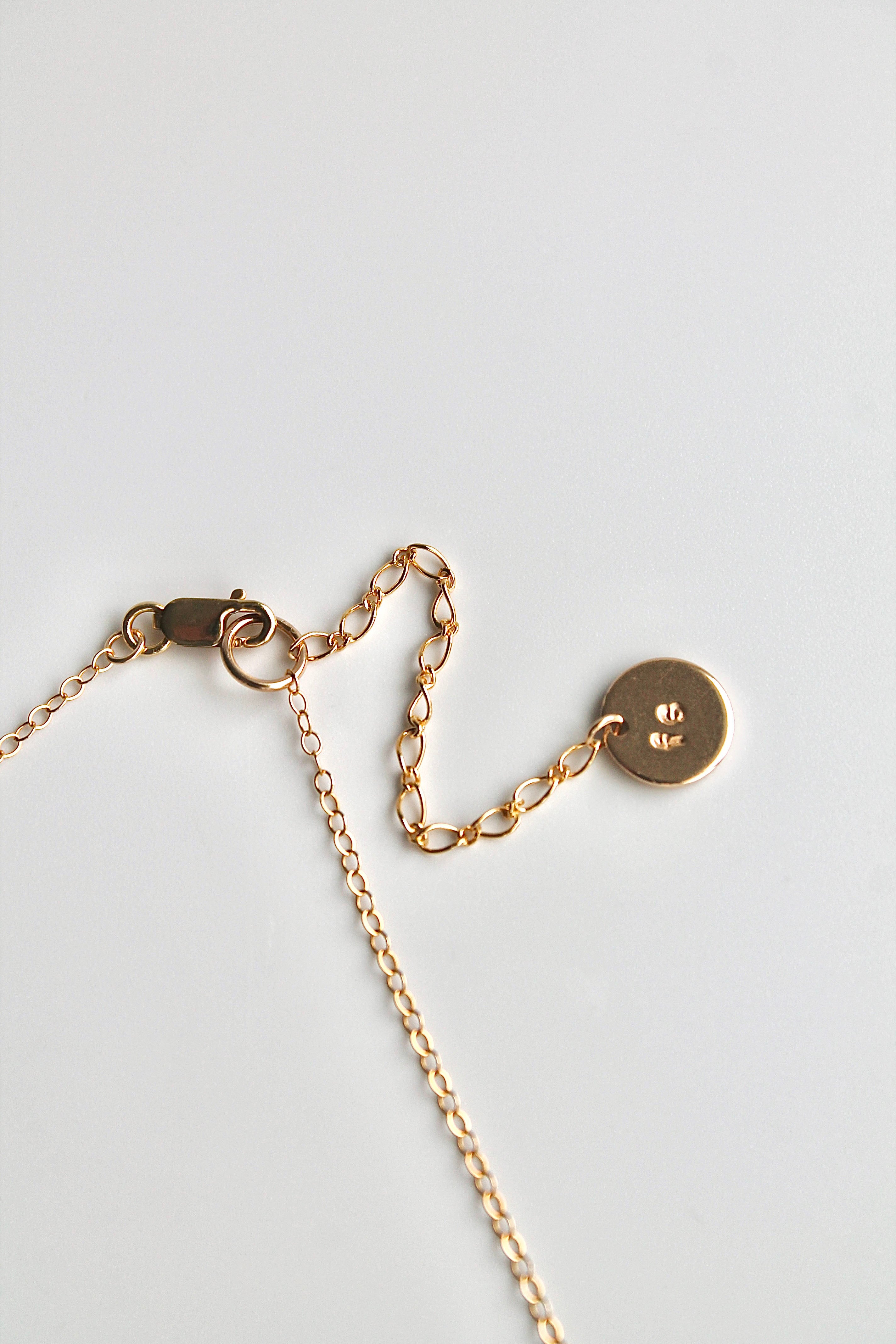 Delicate Choker Charm Necklace